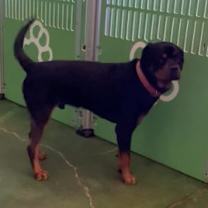 Thumbnail photo of Larry #2