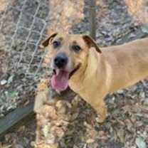 Thumbnail photo of Penny #2