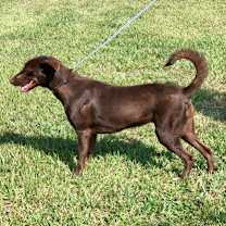 Thumbnail photo of Julia #2