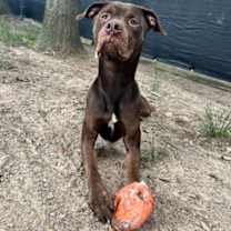 Thumbnail photo of Roger #2