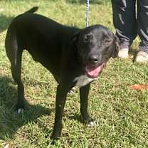 Thumbnail photo of Tate #3