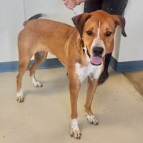 Thumbnail photo of Vinna #3