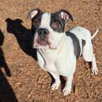 Thumbnail photo of Eddie #3