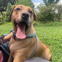 Thumbnail photo of Penny #3