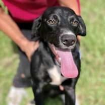 Thumbnail photo of Spot #3