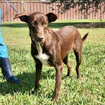 Thumbnail photo of Julia #3