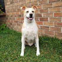 Thumbnail photo of Sullivan #2