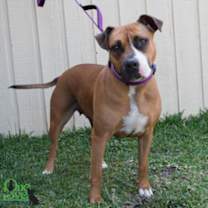 Thumbnail photo of Xena Xulu #3