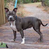 Thumbnail photo of Chloe Gray #3