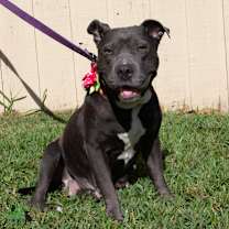 Thumbnail photo of Helen Jean #3