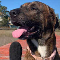 Thumbnail photo of Isa #3