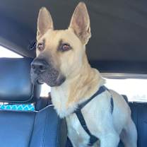 Thumbnail photo of Captain #2