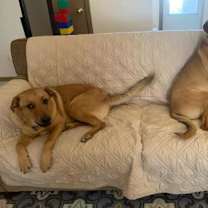 Thumbnail photo of Axl #2