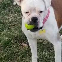Thumbnail photo of Lola #3