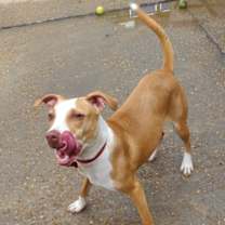 Thumbnail photo of Martini IN FOSTER #3