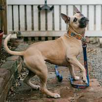 Thumbnail photo of Tulane #2