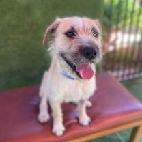 Thumbnail photo of Alfred #2