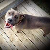 Thumbnail photo of Bess #3