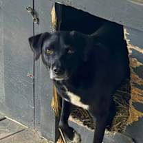 Thumbnail photo of Carol #2