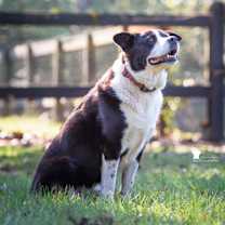 Thumbnail photo of Porter #2