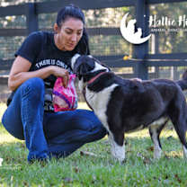 Thumbnail photo of Porter #3