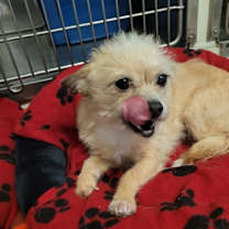 Thumbnail photo of Delilah #3