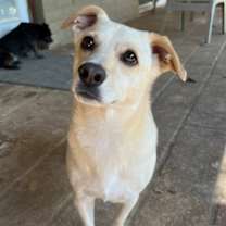 Thumbnail photo of Ollie #3