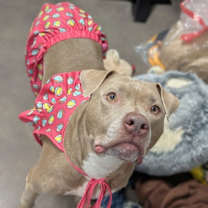 Thumbnail photo of Princess #2