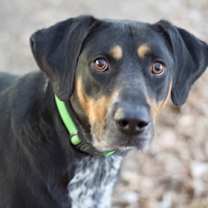 Thumbnail photo of Rhodes #2