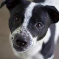 Thumbnail photo of Mickey #2