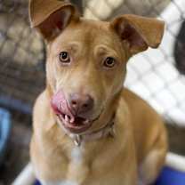 Thumbnail photo of Spongebob #3