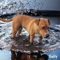 Thumbnail photo of Sally #2