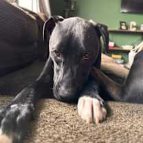 Thumbnail photo of Ralph #2