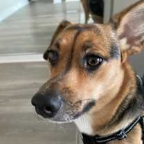 Thumbnail photo of Ava Grace #2