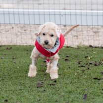 Thumbnail photo of Dalton #3