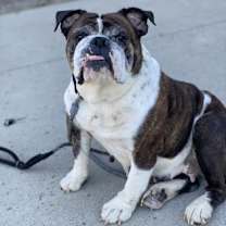 Thumbnail photo of Gemma #2