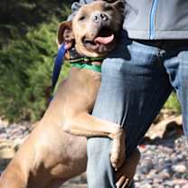 Thumbnail photo of Spunky #2