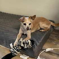 Thumbnail photo of Princess #2