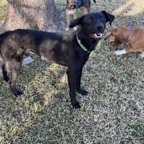 Thumbnail photo of Demitri #3