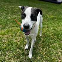 Thumbnail photo of Louise #3