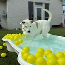 Thumbnail photo of Francine #3
