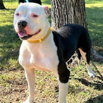 Thumbnail photo of Kevin #3