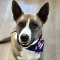 Thumbnail photo of Ivy #2