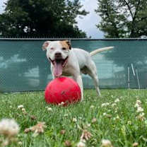 Thumbnail photo of Eddie #3