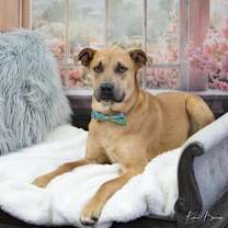 Thumbnail photo of Donnelly #2