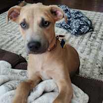 Thumbnail photo of Donnelly #3