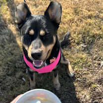 Thumbnail photo of Buffy #2