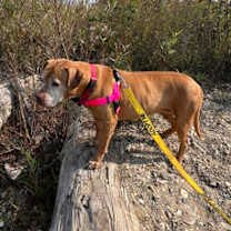 Thumbnail photo of Elaine #3