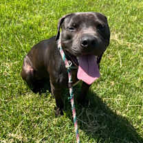 Thumbnail photo of Maverick #2