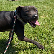 Thumbnail photo of Maverick #3